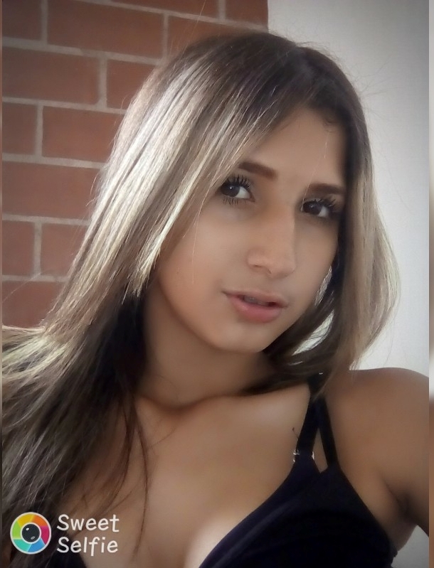 Modelo 3
